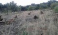 /album/terreno-rustico-com-1920m2-em-sao-bras-de-alportel-20-000-00EUR/a27583875-1683918925001553-165558939-n-jpg/