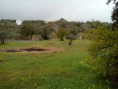 /album/terreno-rustico-com-3100m-a-5-minutos-do-centro-da-vila-de-sao-bras-de-alportel-por-12-500-00EUR-ref-0000050/a28832559-10210979243341778-1740906006-n-jpg/