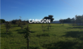 /album/excelente-terreno-urbano-com-4770m-valor-550-000-00EUR-ref-0000071/terreno-png9/
