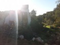 /album/excelentes-terrenos-2-rusticos-e-1-urbano-no-poco-novo-loule-valor-75-000-00EUR-negociavel-ref-0000072/a51341407-823988327941115-592124571046379520-n-jpg/