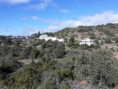 /album/excelentes-terrenos-2-rusticos-e-1-urbano-no-poco-novo-loule-valor-75-000-00EUR-negociavel-ref-0000072/a50748177-394109174695148-2805645703454392320-n-jpg/