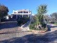 /album/excelente-moradia-t7-com-furo-2-tanques-e-possibilidade-de-construir-mais-uma-moradia-ate-300m2-com-piscina-no-mesmo-terreno-area-de-5800m2-valor-600-000-00EUR-ref-0000061/a48408464-2246495192027304-5472089700074258432-n-jpg/